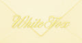 White Fox Envelope Gift Card